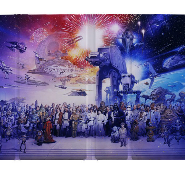 Star Wars Double sided Ipad case